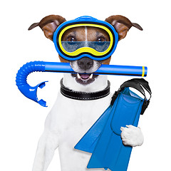 Image showing scuba dog