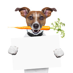 Image showing healthy dog with a carrot