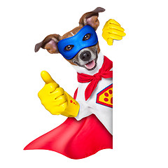 Image showing super hero dog