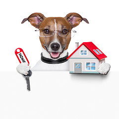 Image showing banner dog home and key