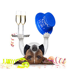 Image showing new years eve dog
