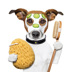 Image showing wellness spa wash sponge dog