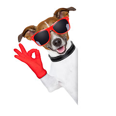 Image showing ok fingers dog