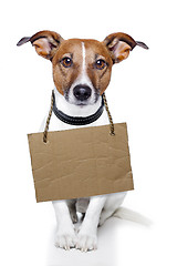 Image showing Dog with empty cardboard placeholder
