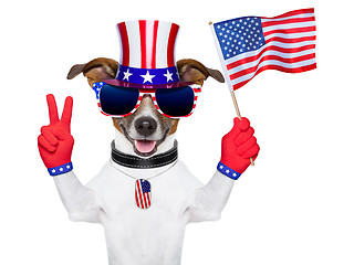 Image showing usa american dog 