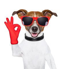Image showing ok fingers dog