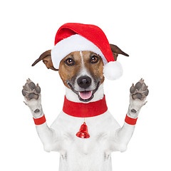 Image showing hello goodbye christmas  dog 