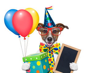 Image showing birthday dog 