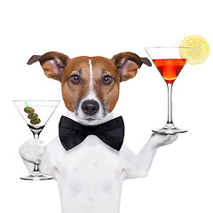 Image showing cocktail dog martini glasses