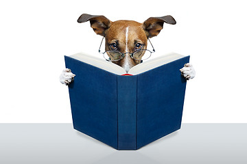 Image showing reading book dog 