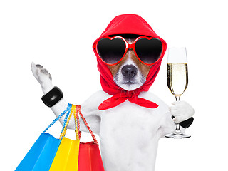 Image showing shopaholic diva dog