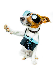 Image showing dog photo camera