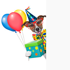 Image showing birthday dog 