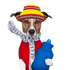 Image showing winter dog scarf and hat