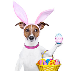 Image showing  funny easter dog