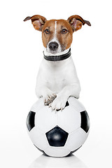 Image showing dog with a white soccer ball