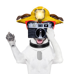 Image showing tourist dog photographer