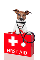 Image showing first aid dog
