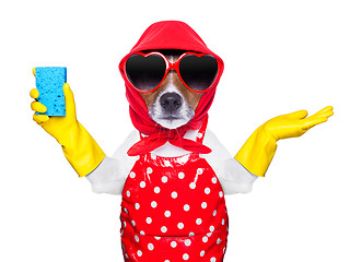 Image showing housewife dog 