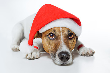 Image showing christmas dog santa