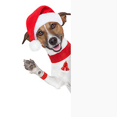 Image showing hello goodbye christmas  dog 