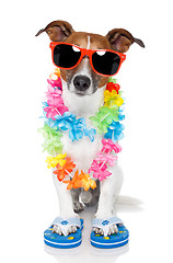 Image showing tourist dog with hawaiian  lei and shades