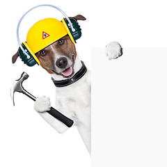 Image showing handyman dog 