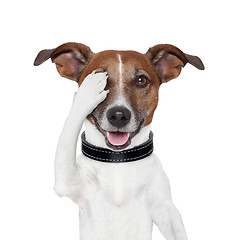 Image showing hiding covering eye dog