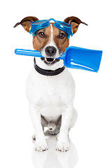 Image showing dog with goggles and a shovel