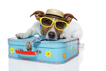 Image showing vacation tourist dog