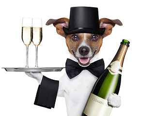 Image showing dog toasting 