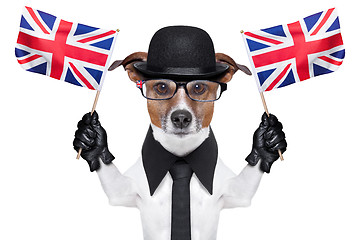 Image showing british dog 