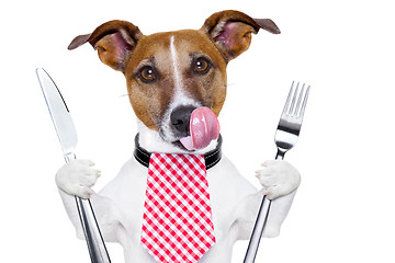 Image showing hungry dog