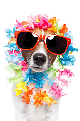 Image showing funny dog  hawaiian  lei and sunglasses