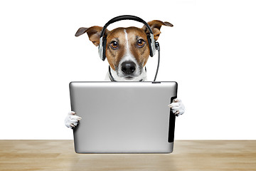 Image showing dog computer 