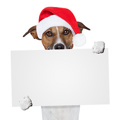 Image showing christmas banner placeholder dog