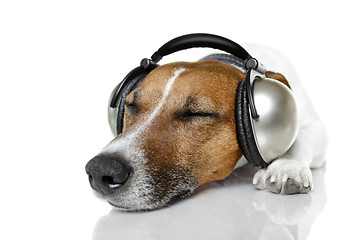 Image showing Dog listen to music with a music player