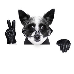 Image showing peace fingers dog