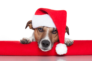 Image showing christmas dog santa baby