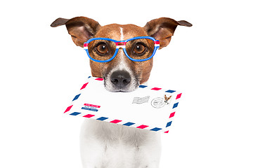 Image showing mail dog