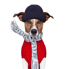 Image showing winter dog scarf and hat