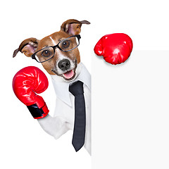 Image showing Boxing dog