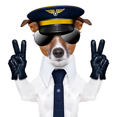 Image showing pilot dog