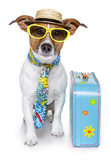 Image showing vacation tourist dog