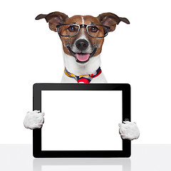 Image showing business dog tablet pc ebook touch pad