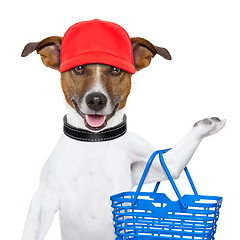 Image showing shopping dog