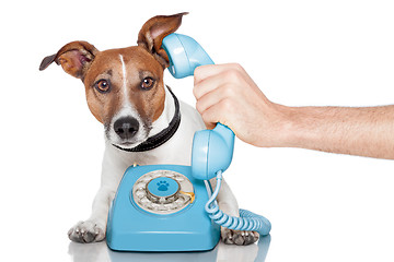 Image showing dog on the phone with male hand