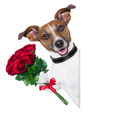 Image showing valentine dog  