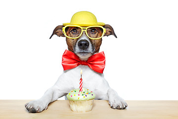 Image showing birthday dog cupcake