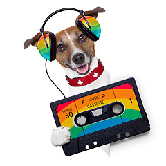 Image showing music dog